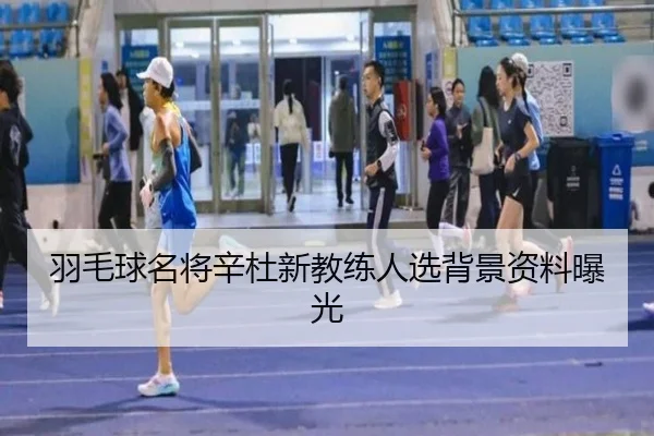 羽毛球名将辛杜新教练人选背景资料曝光